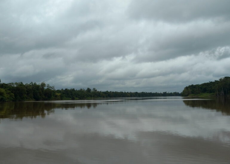 01. En remontant le Suriname