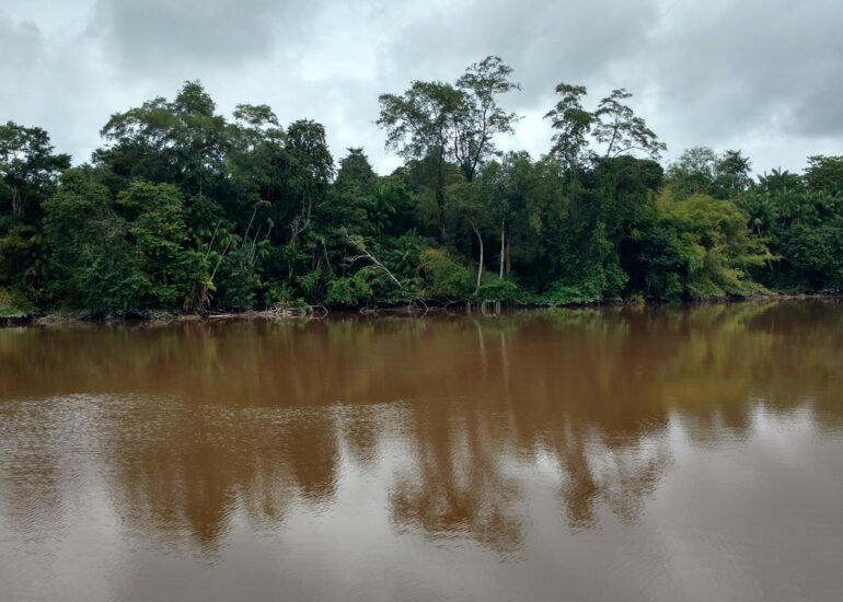 03. En remontant le Suriname