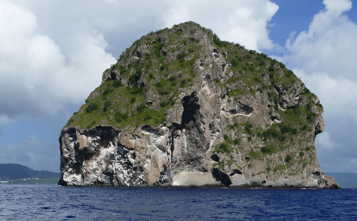 03. La Martinique, le muffle du rocher du Diamant