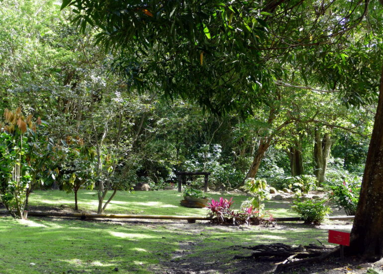 03. L'habitation Céron
