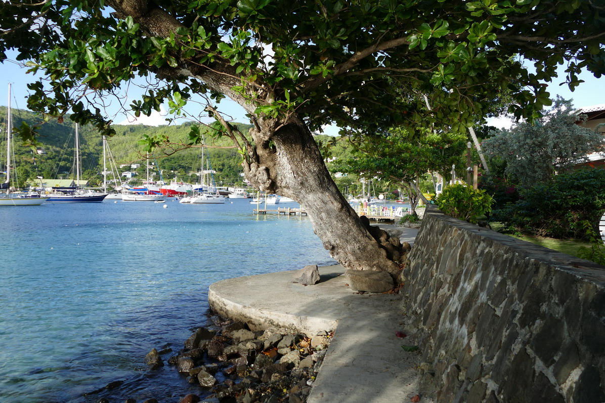 05. Bequia, Port Elisabeth, l'hôtel pension Gingerbread sur la rive sud