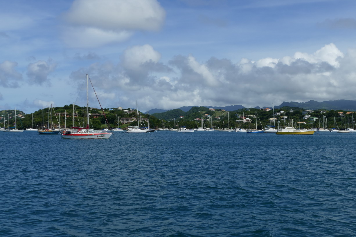 04. Premier aperçu de Prickly bay, l'anse aux épines