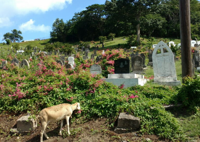 05. Cariacou, Hillsborough