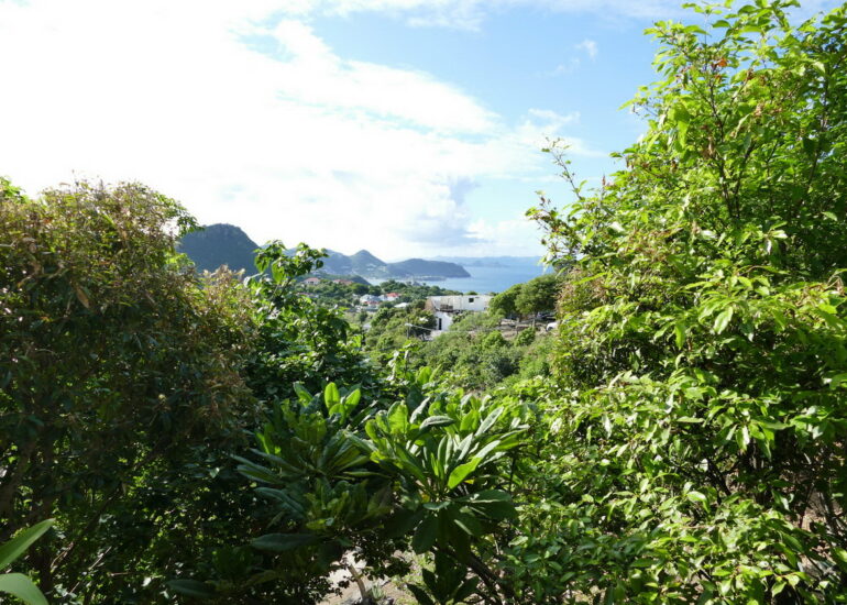 05. St Barth