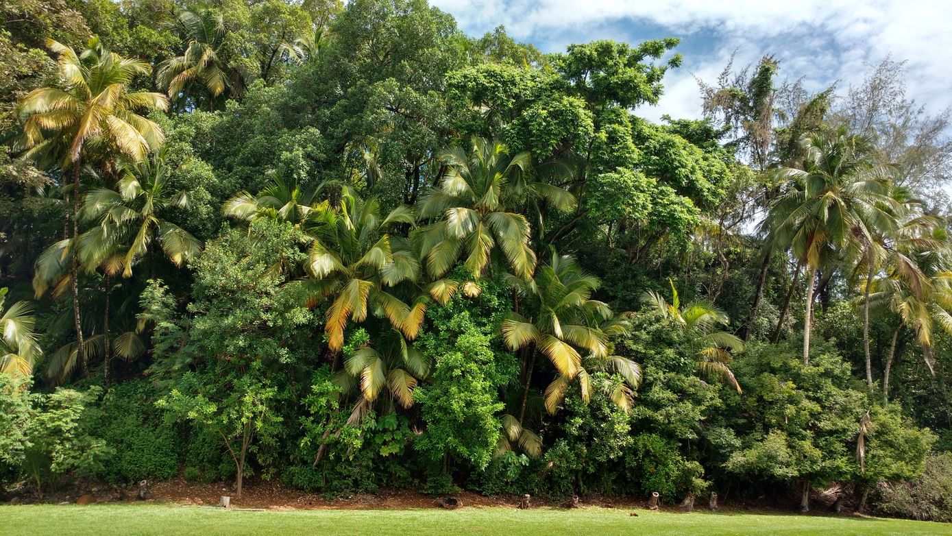 05. Île Royale, une nature généreuse