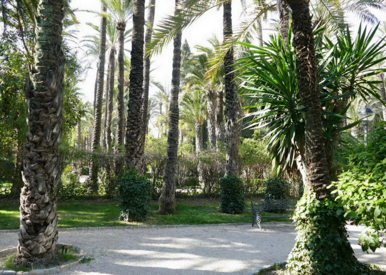 06. Elche - le parc municipal