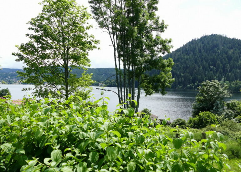 06. Gérardmer et son lac
