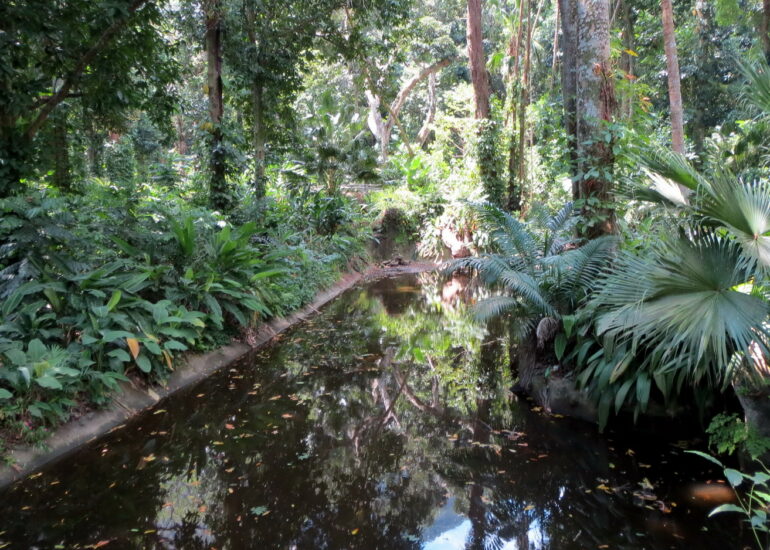 06. Le jardin botanique