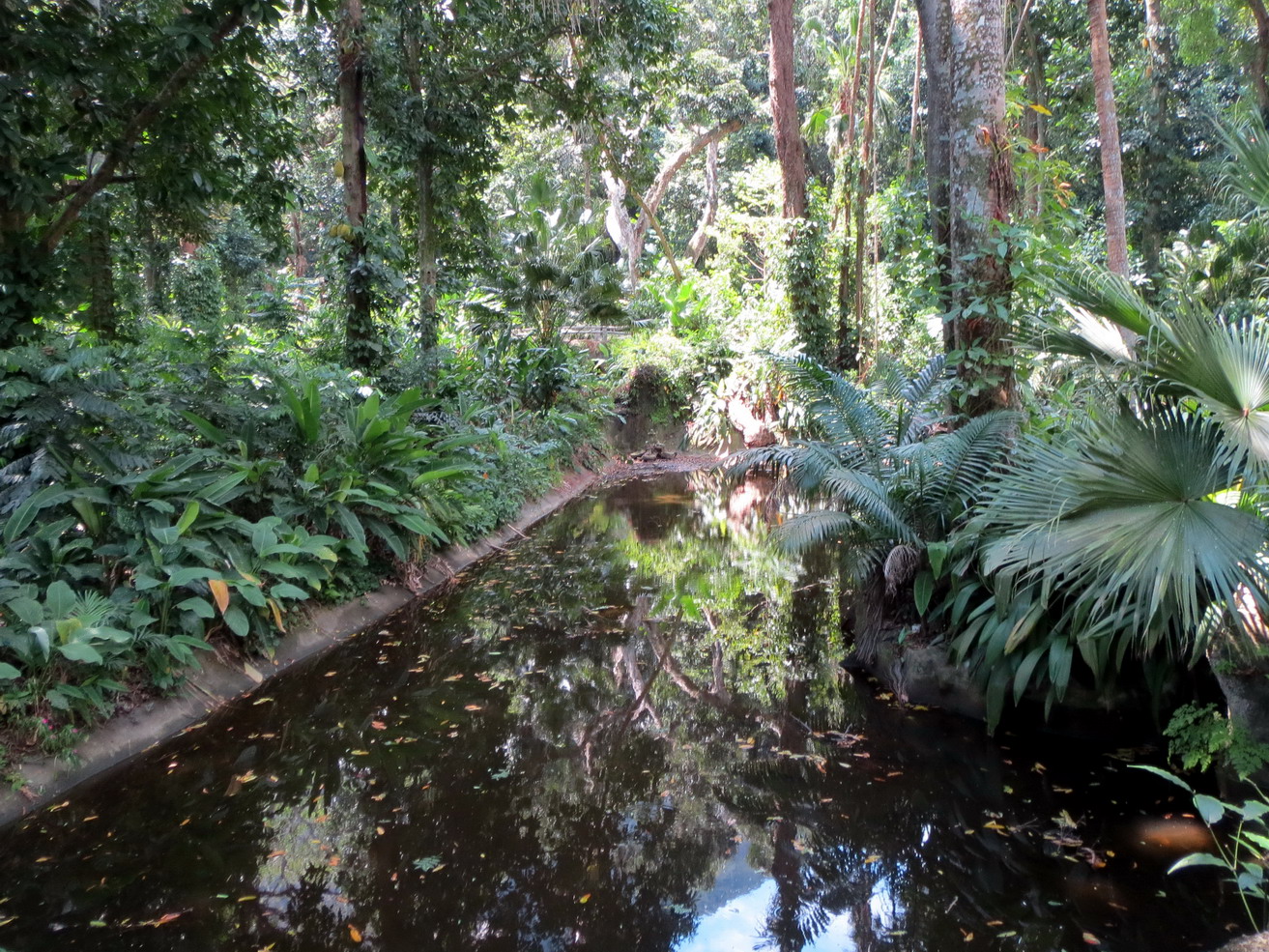 06. Le jardin botanique