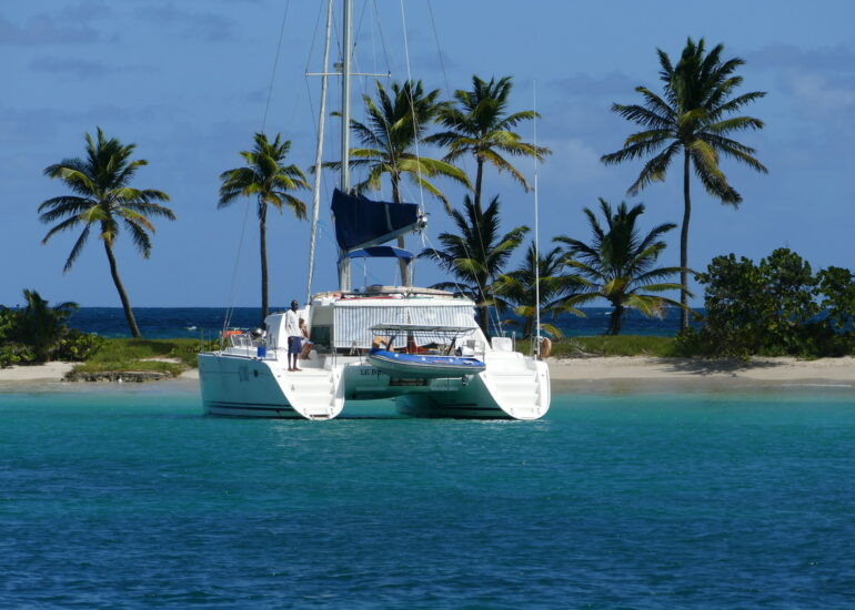 06. Mayreau, Salt whistle bay ; dommage qu'il y ait toujours un de ces gros transporteurs pour abîmer le paysage !