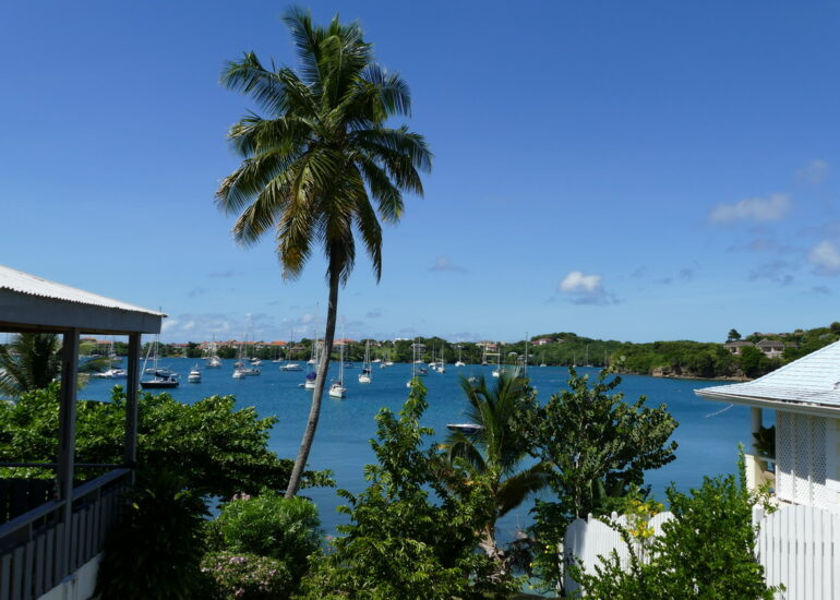 06. Prickly bay