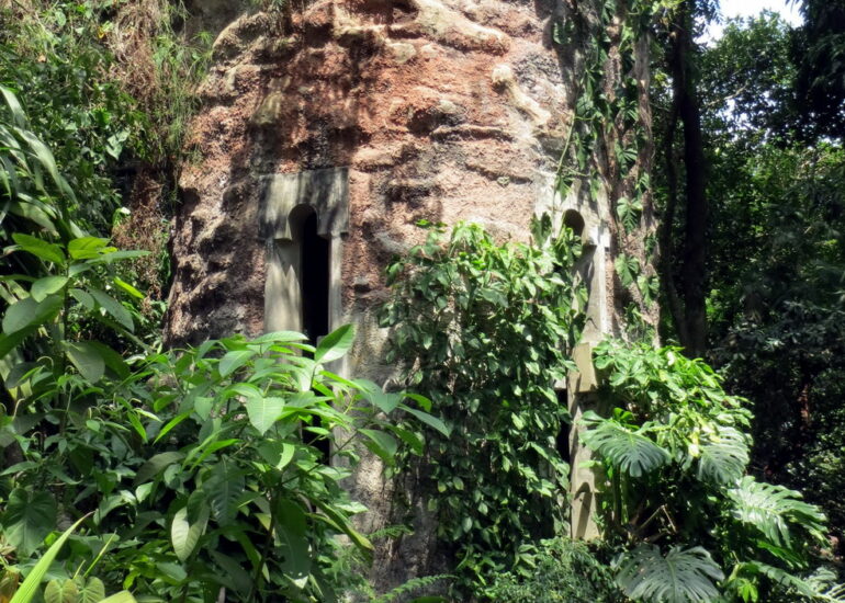 07. Le jardin botanique