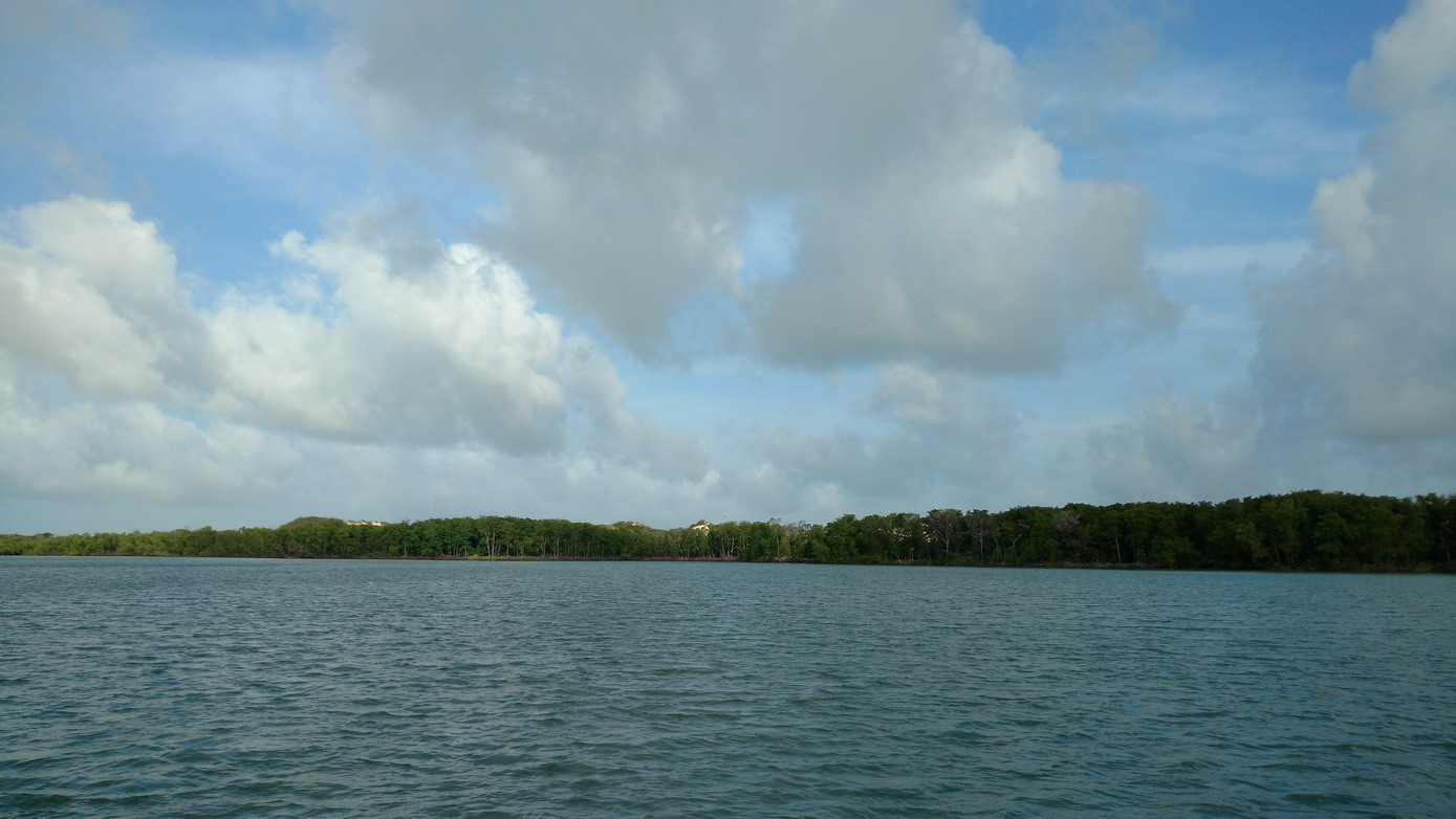07. Lençóis, la mangrove