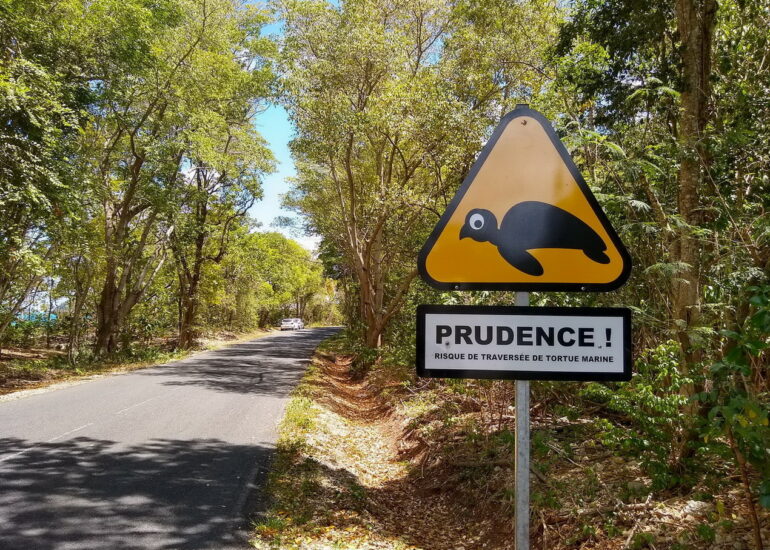 07. Marie-Galante, on n'écrase pas !