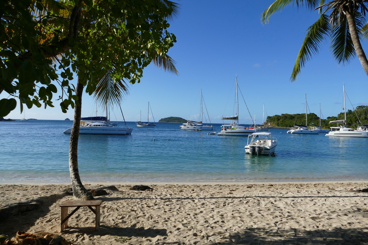 07. Mayreau, Salt whistle bay, ça se remplit