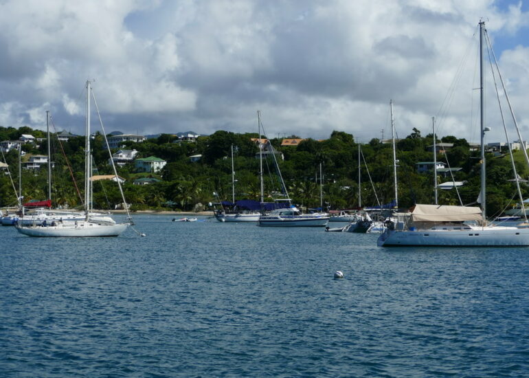 07. Prickly bay