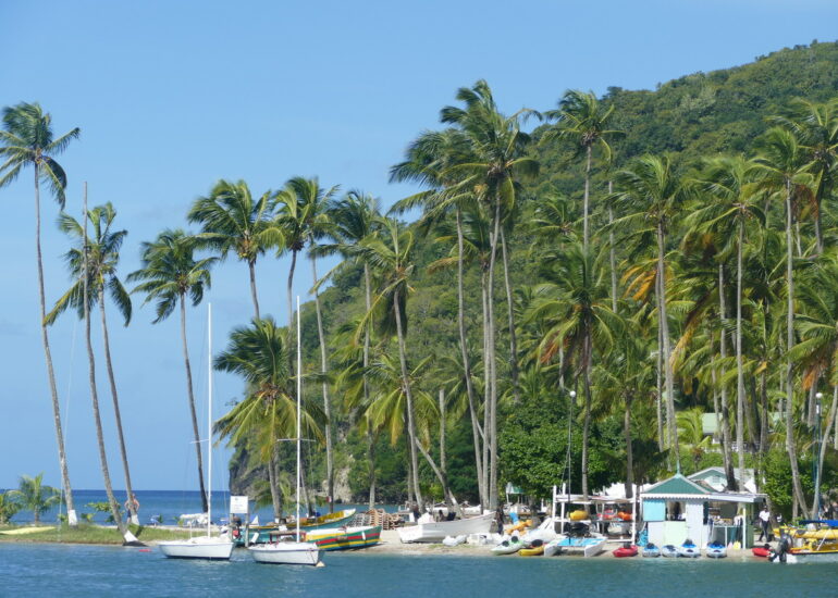 07. Ste Lucie, Marigot harbour, un décor de carte postale