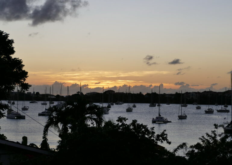 08. Prickly bay