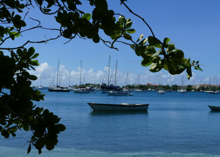 09 Prickly bay