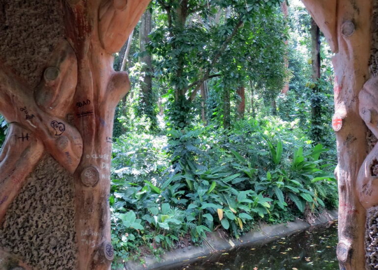09. Le jardin botanique