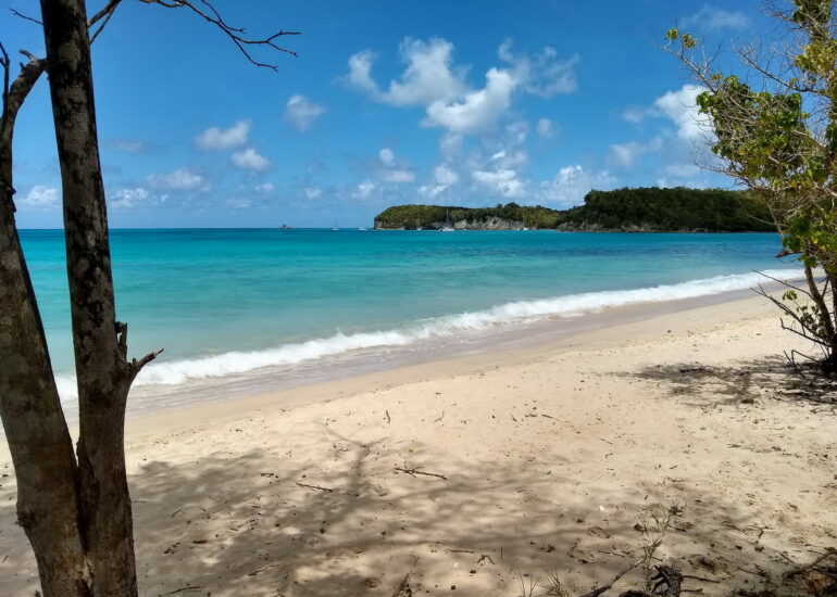 09. Marie-Galante, l'anse Canot