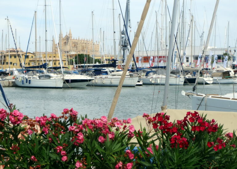 1. Palma de Majorque, la marina du RNCP