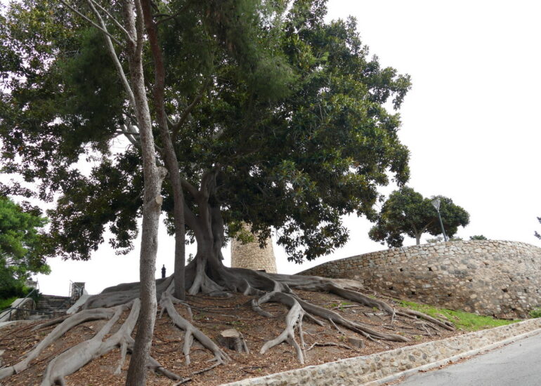 10. Carthagène, el castillo de la Concepcion