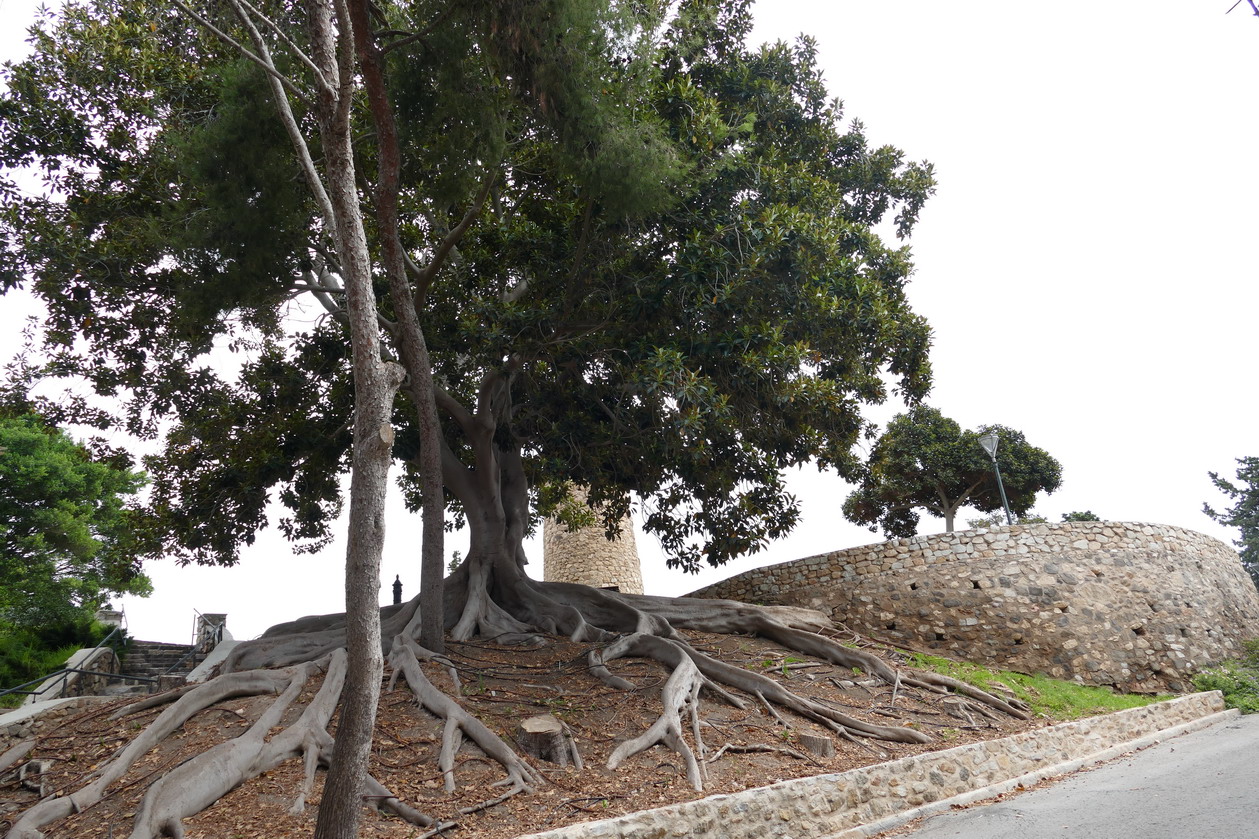 10. Carthagène, el castillo de la Concepcion