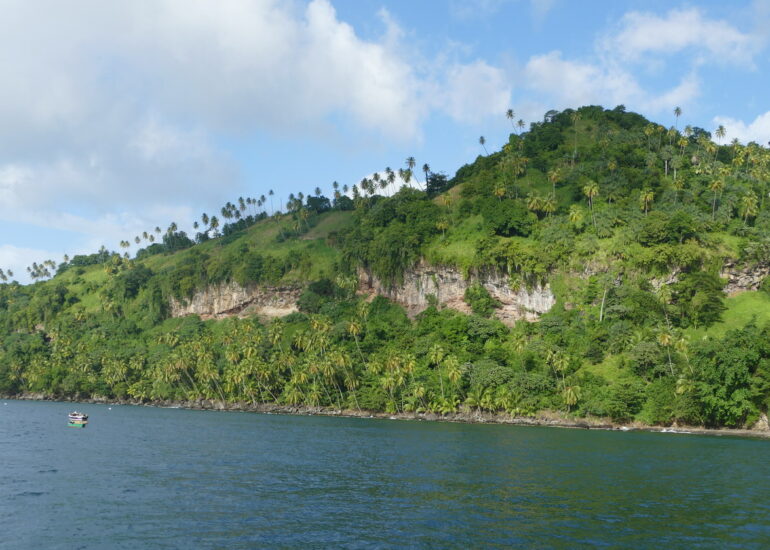 10. Chateaubelair bay, la côte orientale
