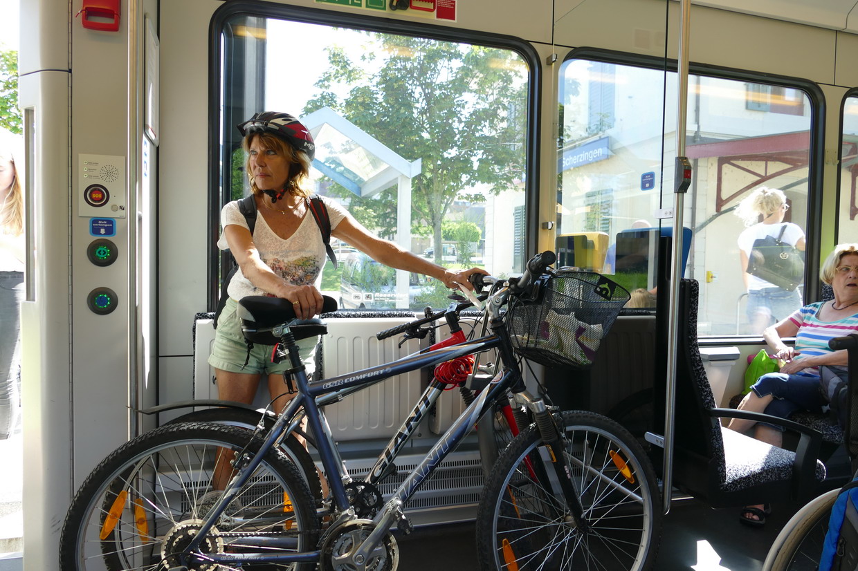 10. Le lac de Constance - rive sud... ou le train, quand on a crevé !