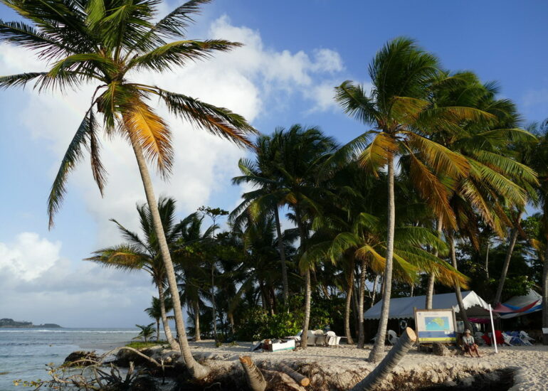 10. L'îlet du Gosier