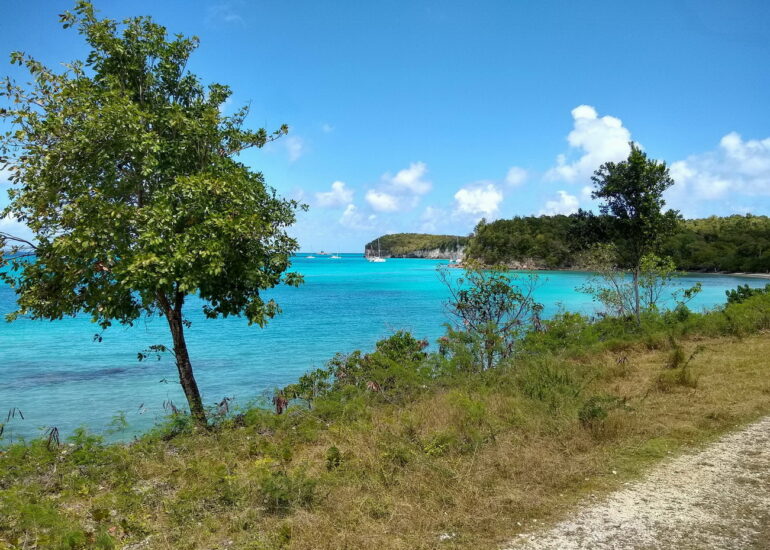 10. Marie-Galante, l'anse Canot