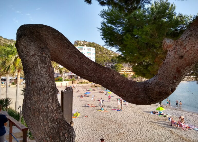 10. Sant Elm