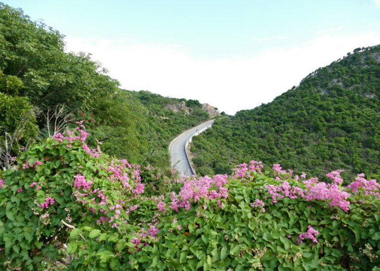 10. St Barth