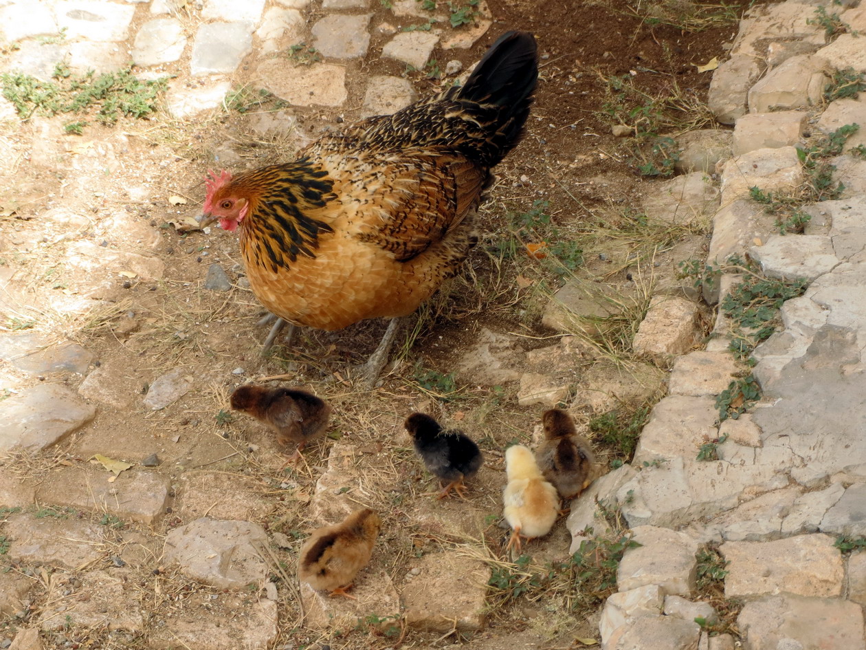 10. Vila do Maio, une famille locale