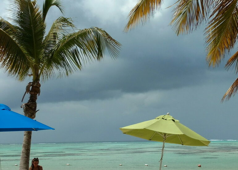 11. Buccoo reef, récif corallien