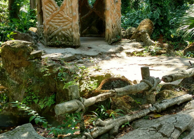 11. Le jardin botanique