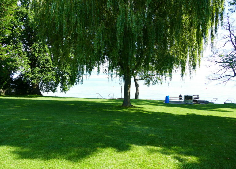 11. Le lac de Constance - rive sud