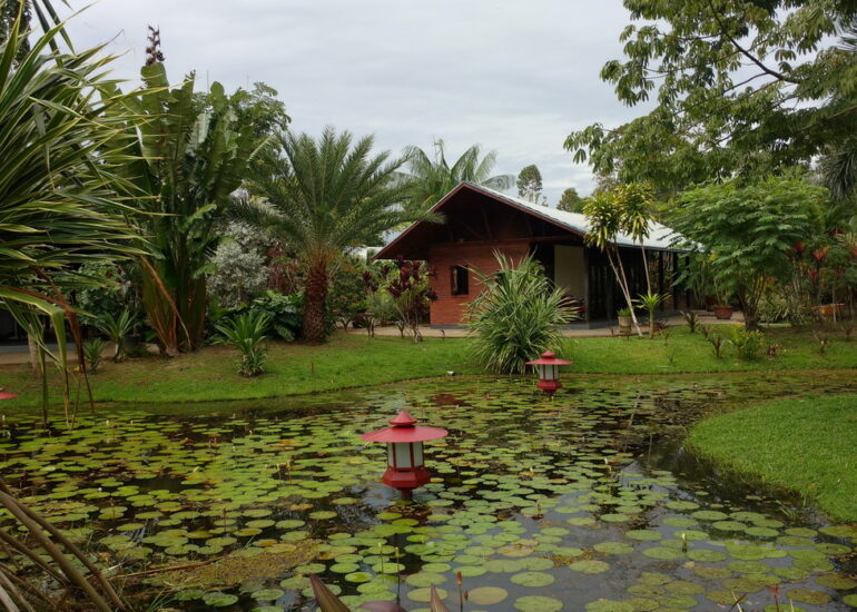 11. Le parc somptueux de la marina