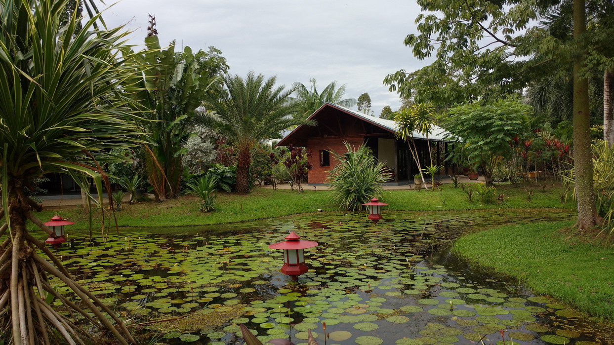 11. Le parc somptueux de la marina