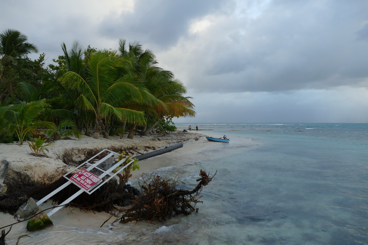 11. L'îlet du Gosier ; traces du cyclone Maria