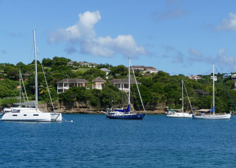 11. Prickly bay