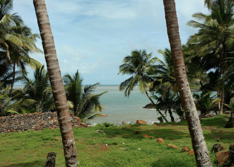 11. Promenade sur l'île Royale