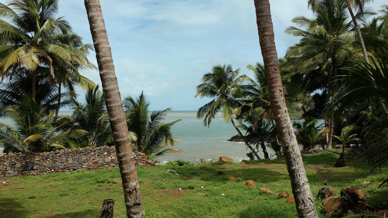 11. Promenade sur l'île Royale