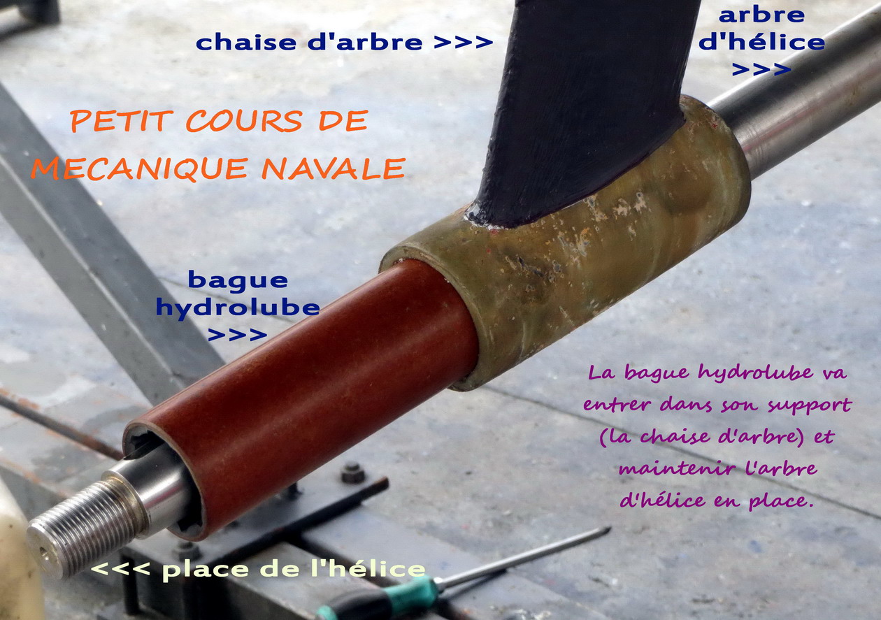 11. Remplacement de la bague hydrolube