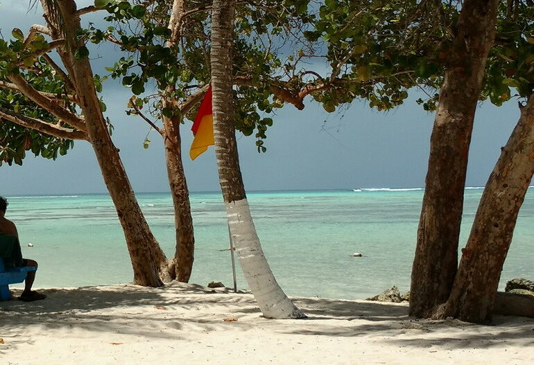 12. Buccoo reef, récif corallien