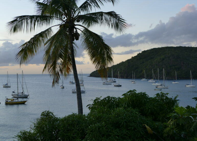 12. La Martinique, Petite Anse d'Arlet, le mouillage