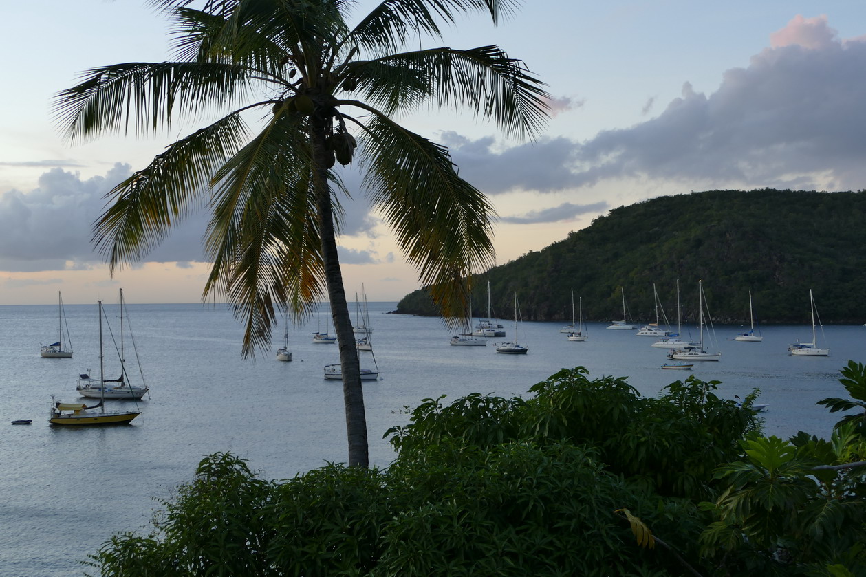 12. La Martinique, Petite Anse d'Arlet, le mouillage