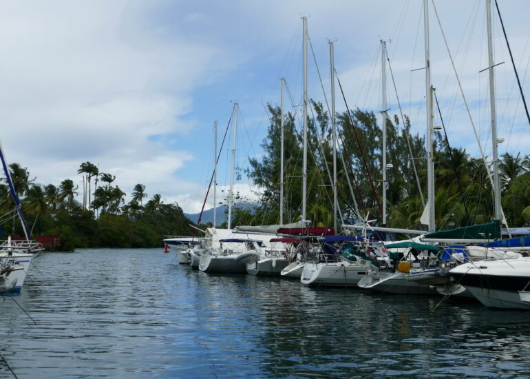 12. La marina de la Pointe du Bout