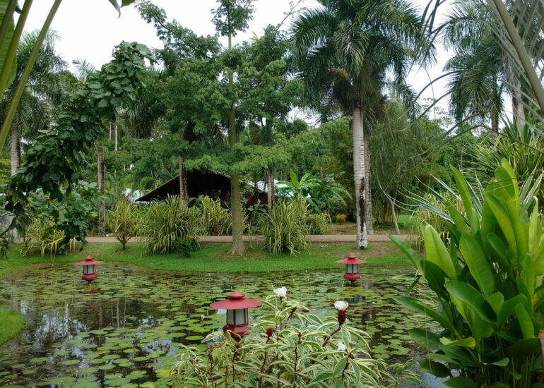 12. Le parc somptueux de la marina